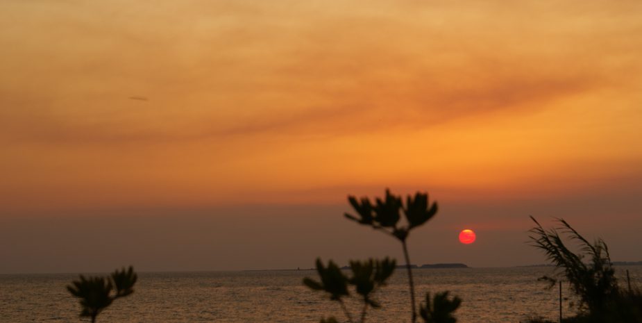 SONY DSC